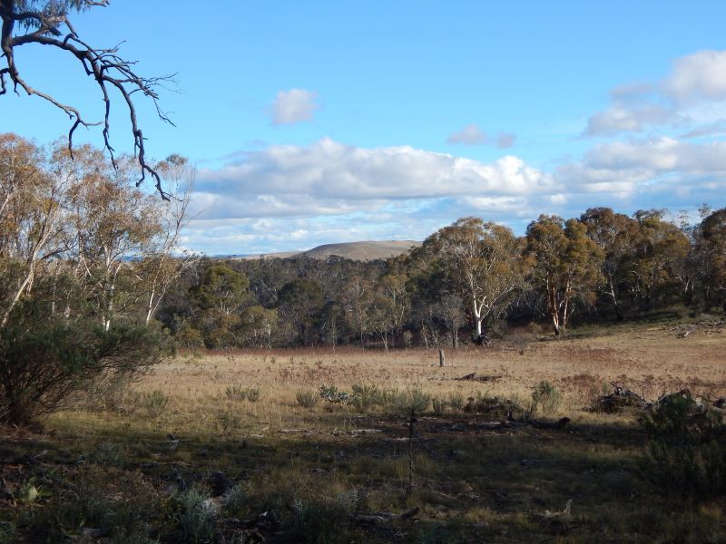 Lot 106 & 116 Collins Road, Numeralla NSW 2630, Image 1