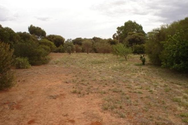 Picture of Lot 23 Brogan Road, JAMESTOWN SA 5491