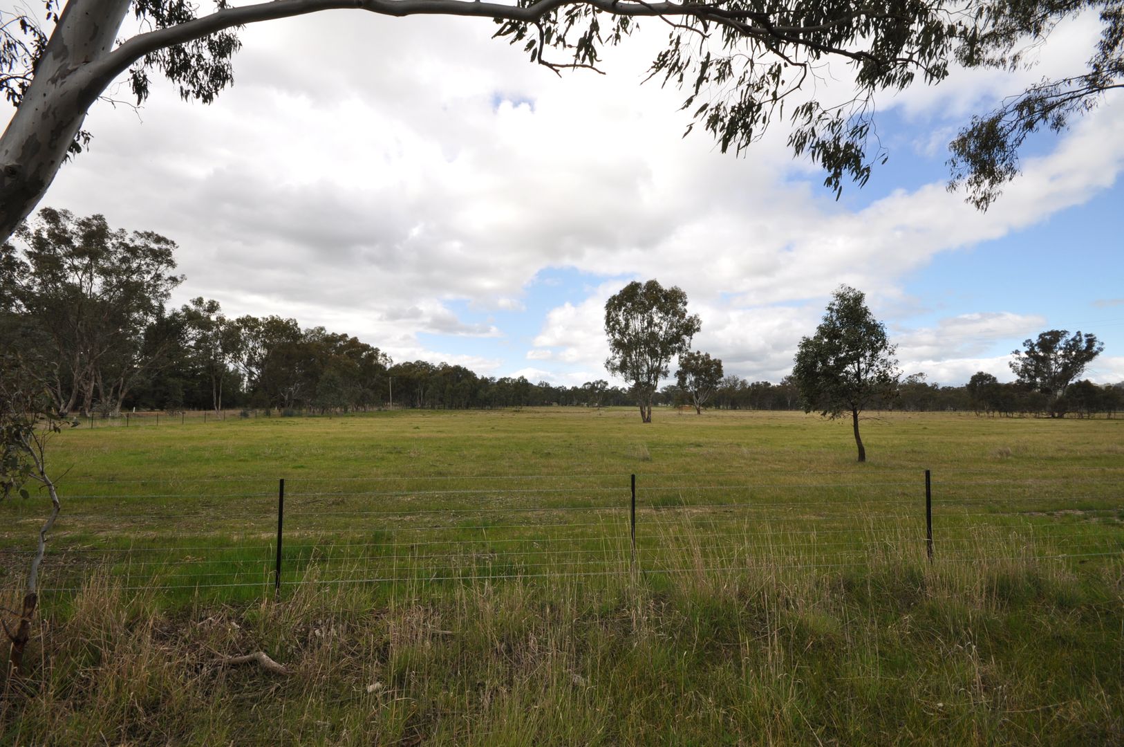 152 Molkentin Road, Jindera NSW 2642, Image 2