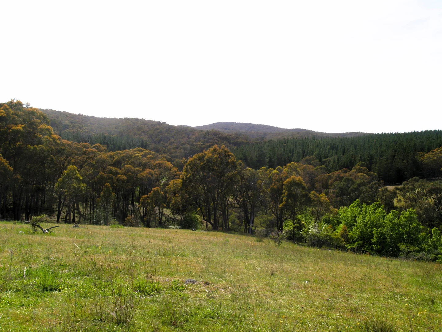 Image 14