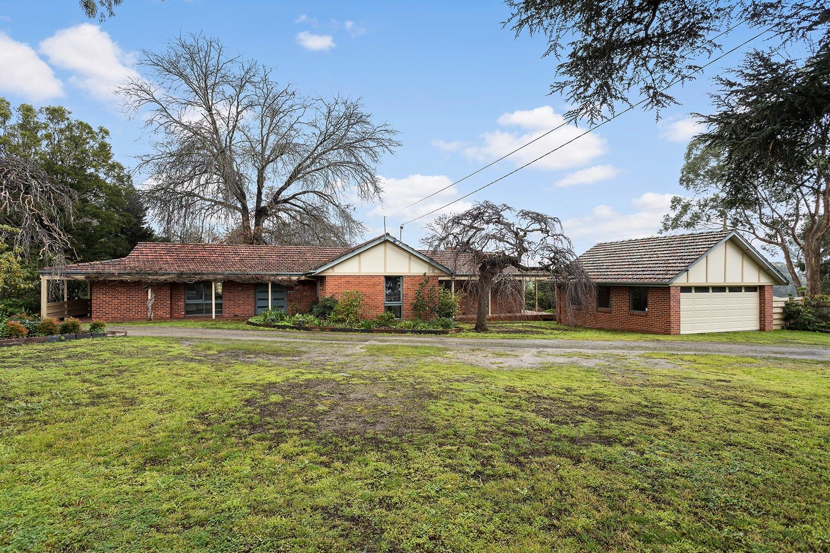 33 Wonga Road, Ringwood North VIC 3134 Domain