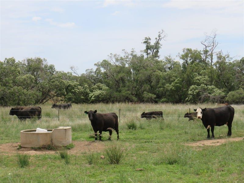 "Westdale" Horton Road, Upper Horton NSW 2347, Image 0