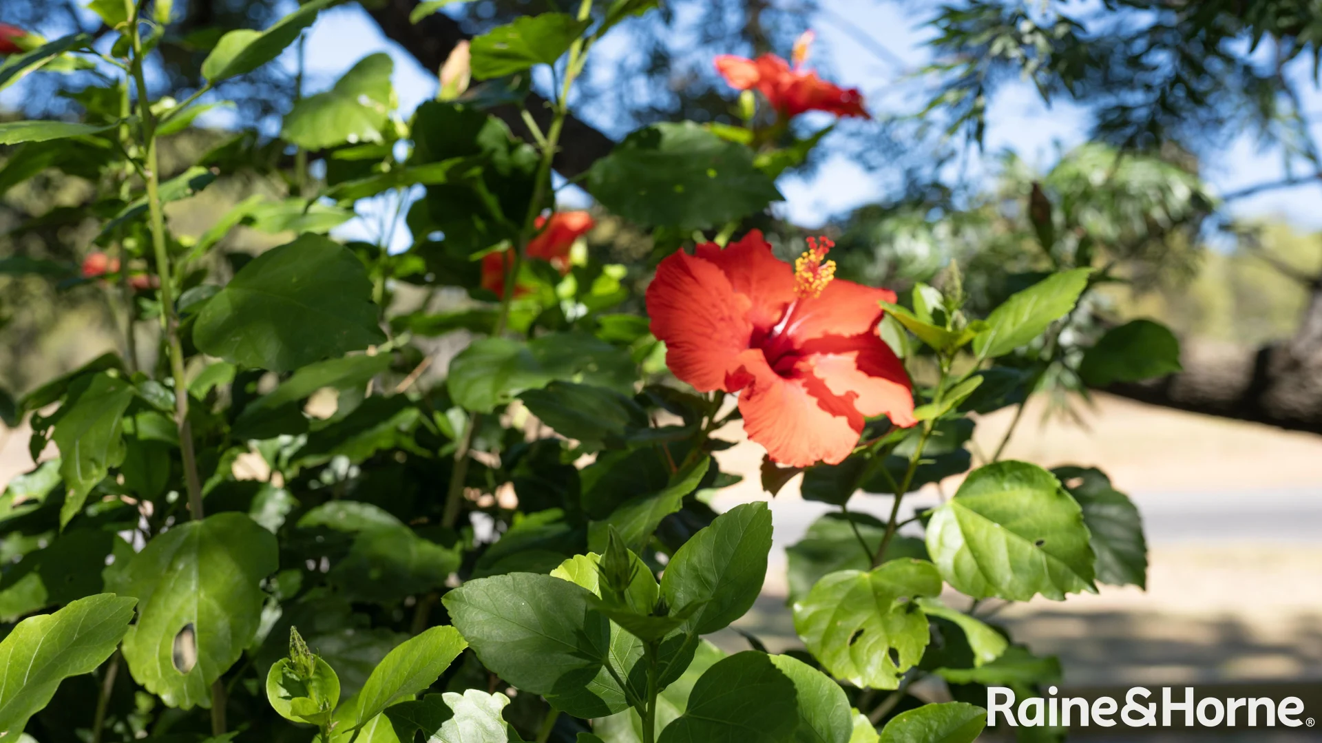 Additional image 33 of 170 Tooth Street, Warwick QLD 4370