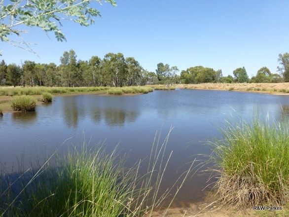 1180 Collingwood Lane, Bruie Plains NSW 2875, Image 0