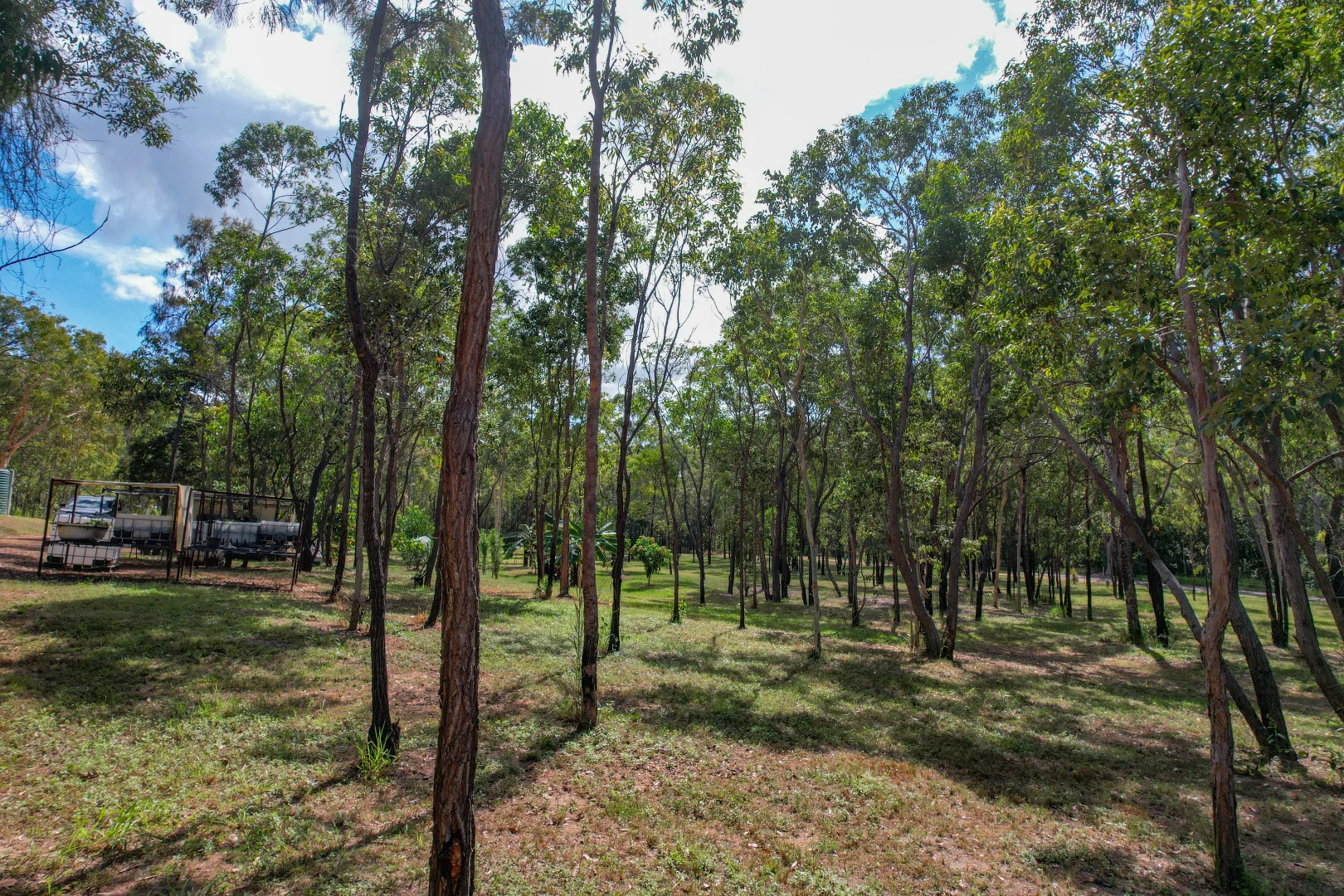 Image 10