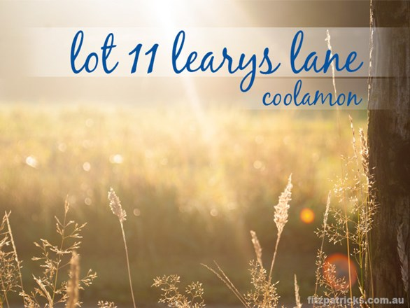 11 Learys Lane, Coolamon NSW 2701