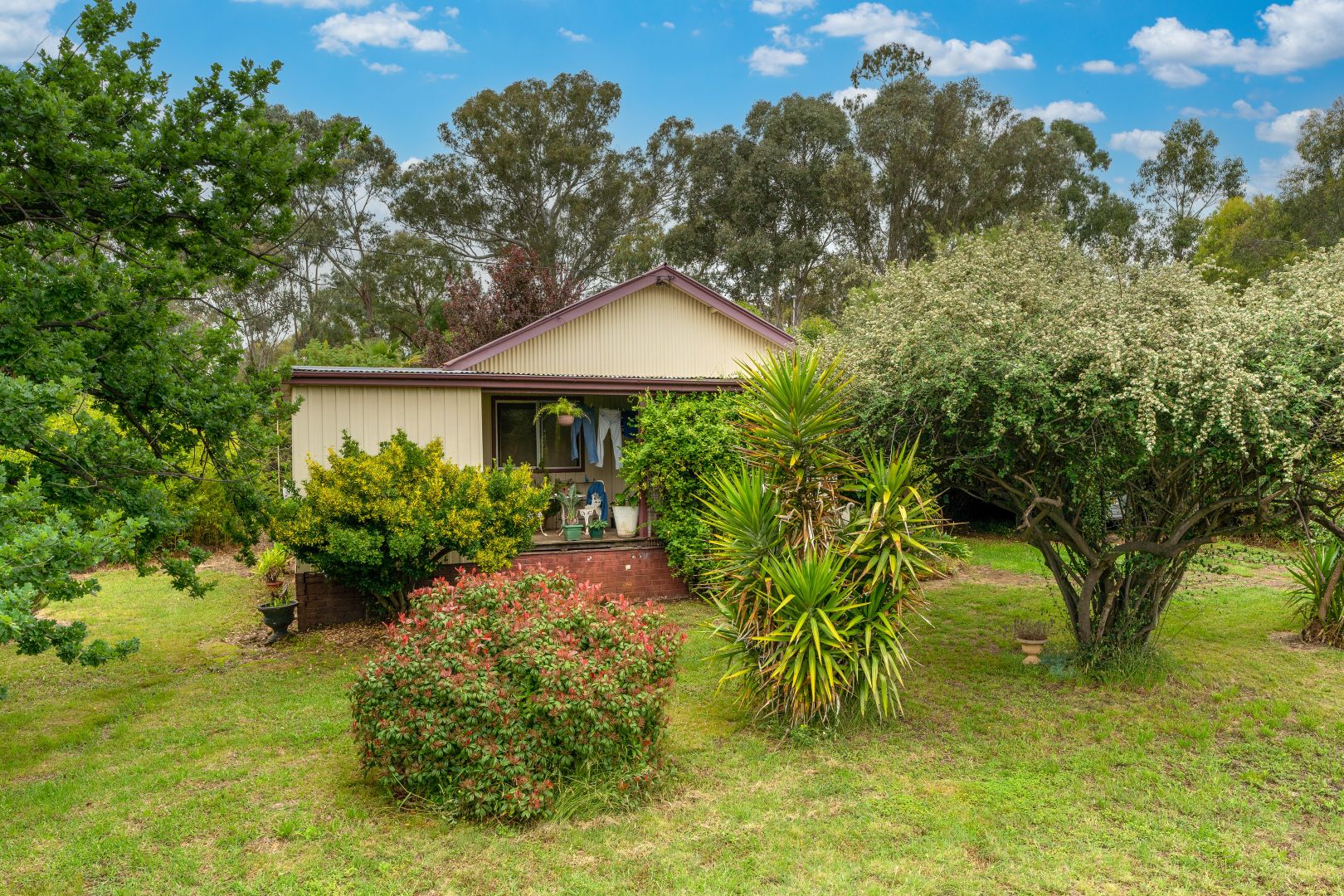 36 Boree Street, Cudal NSW 2864, Image 1