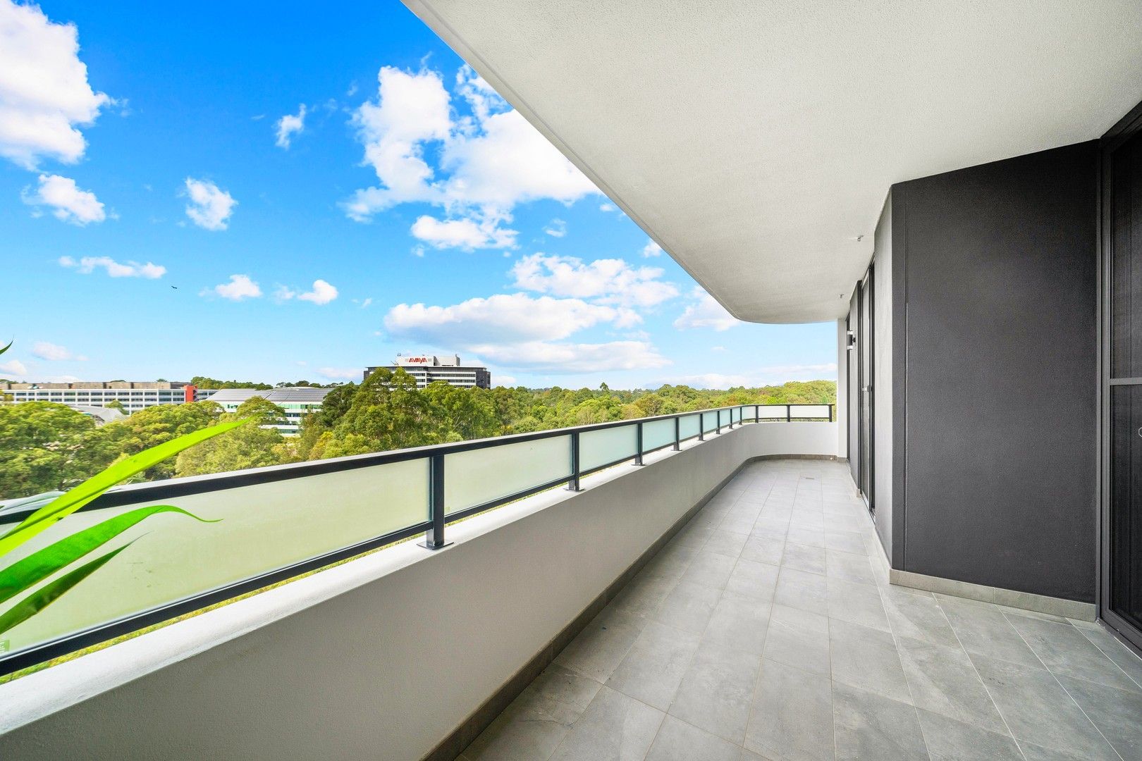 3 bedrooms Apartment / Unit / Flat in 1101/9 PEACH TREE ROAD MACQUARIE PARK NSW, 2113