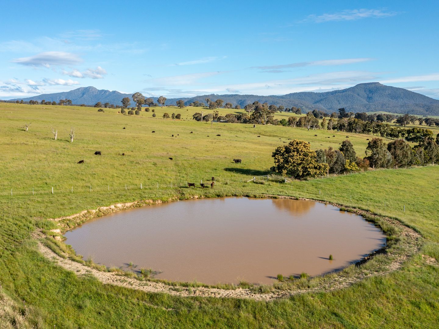 Lot 3 582 Buttercup Road, Merrijig VIC 3723 Vacant Land for Sale