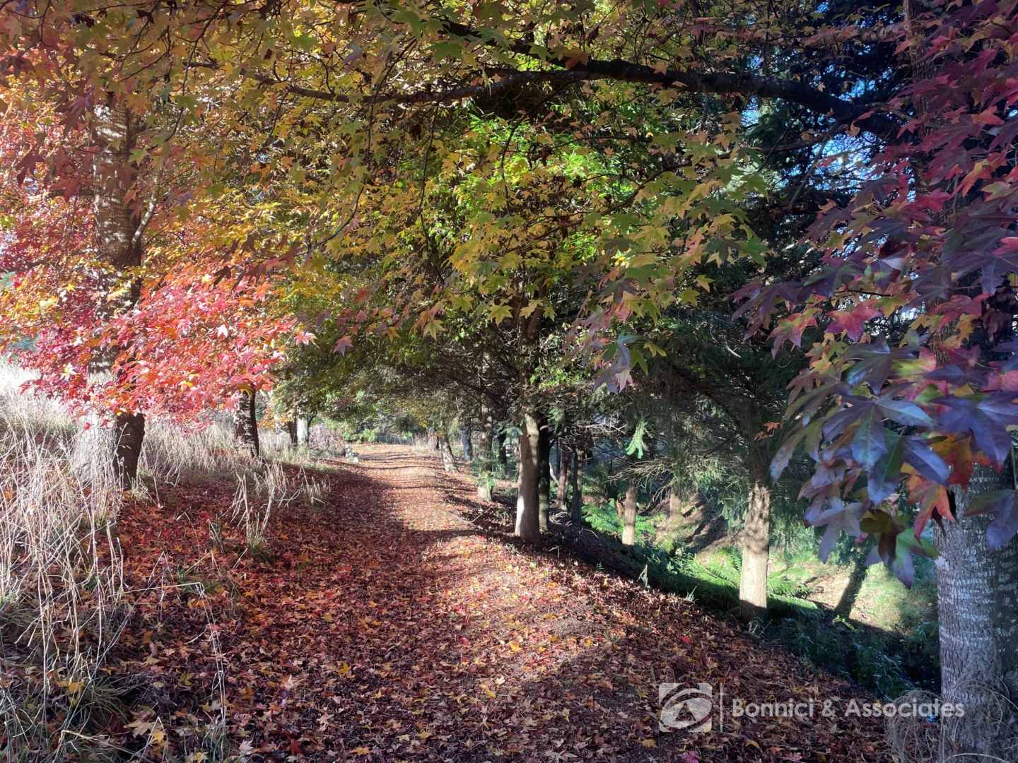 Additional image 12 of 6-8 Mount Stanley Road, Stanley VIC 3747