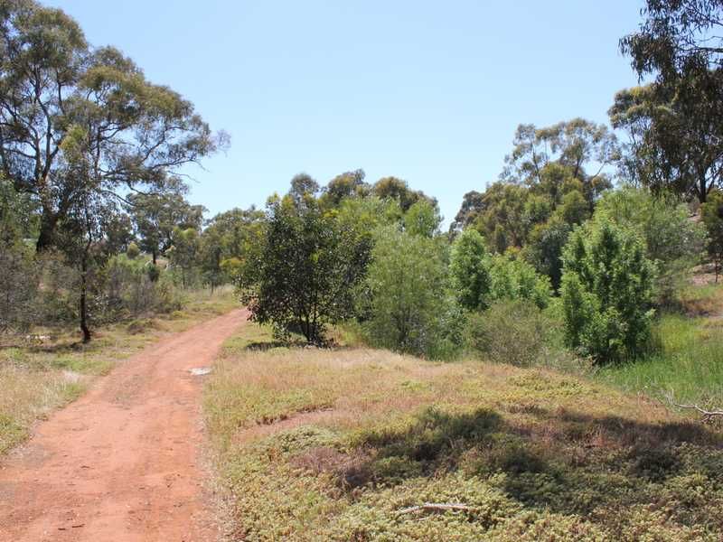 Lot 116 Darcy Street, BACCHUS MARSH VIC 3340, Image 2