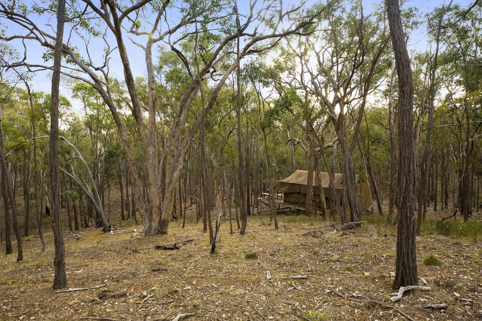 Lot 50 Coach Track, Franklinford VIC 3461, Image 1