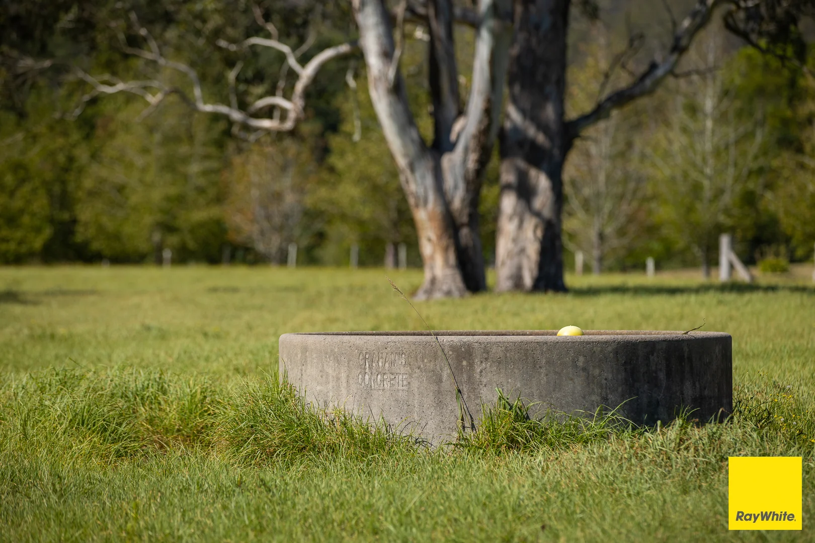 Additional image 7 of 45 Crawford River Road, Crawford River NSW 2423