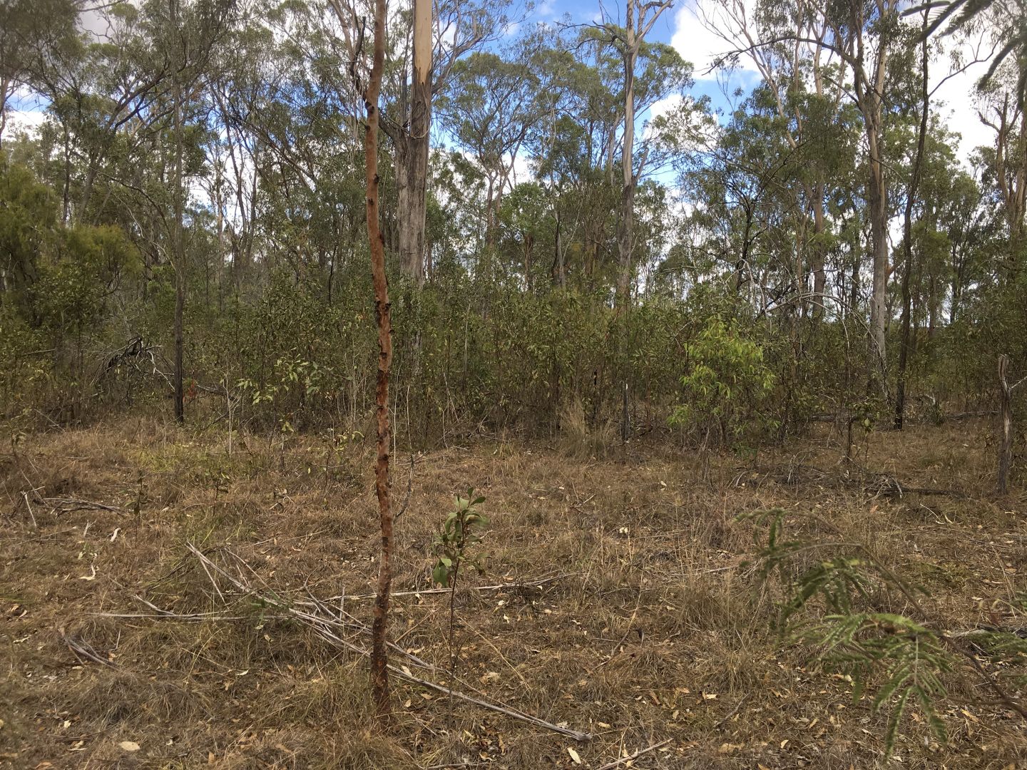 Lot 2 Noora Rd, Yarraman QLD 4614, Image 2