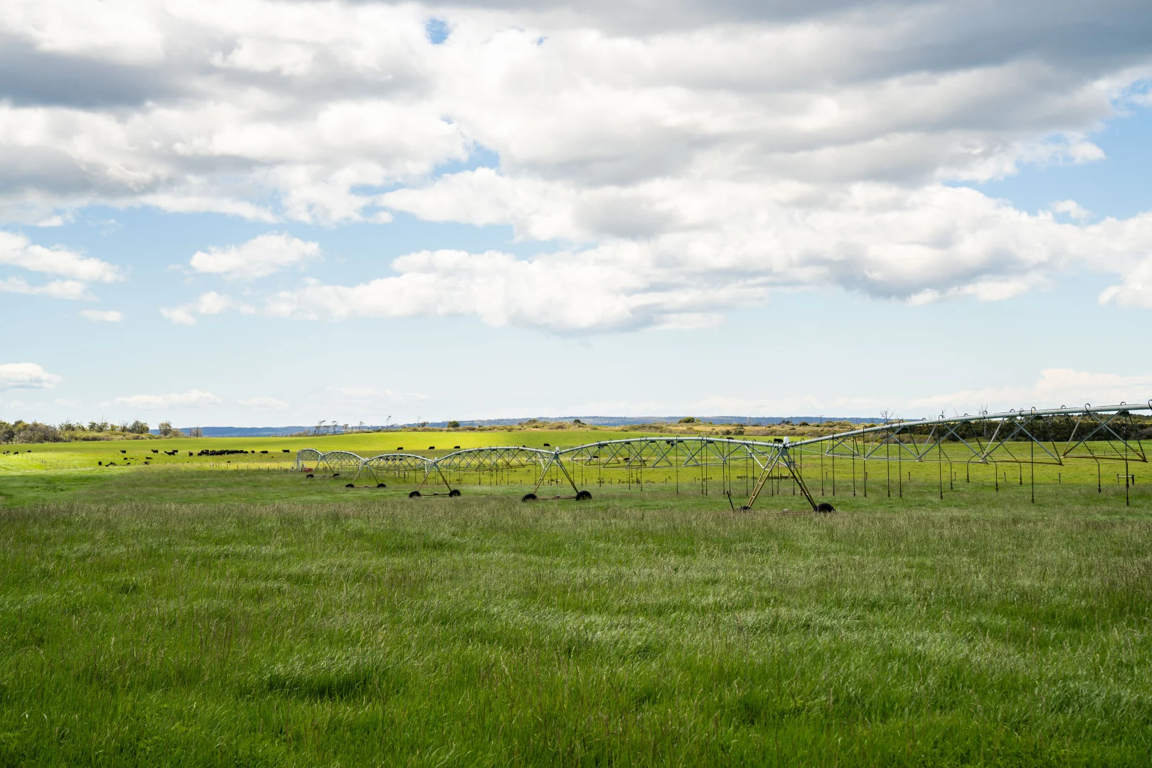 Additional image 8 of . Waterhouse Road, Boobyalla TAS 7264