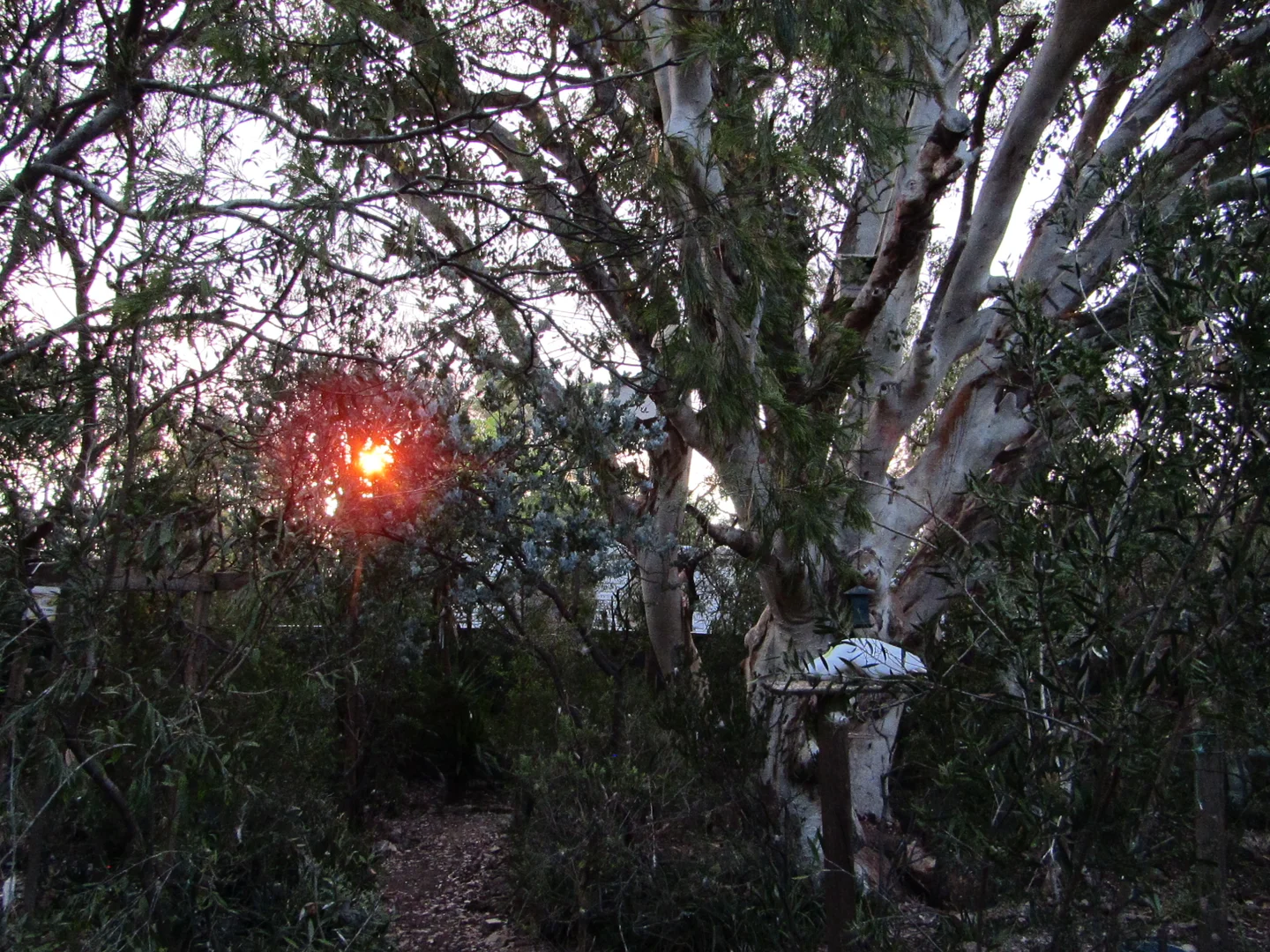 Additional image 34 of Calwell ACT 2905