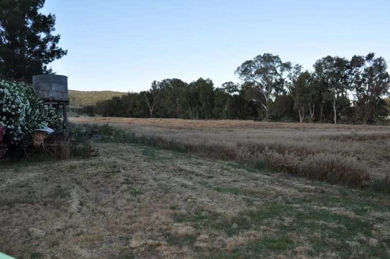 Lot 162 North Street, EUGOWRA NSW 2806, Image 1