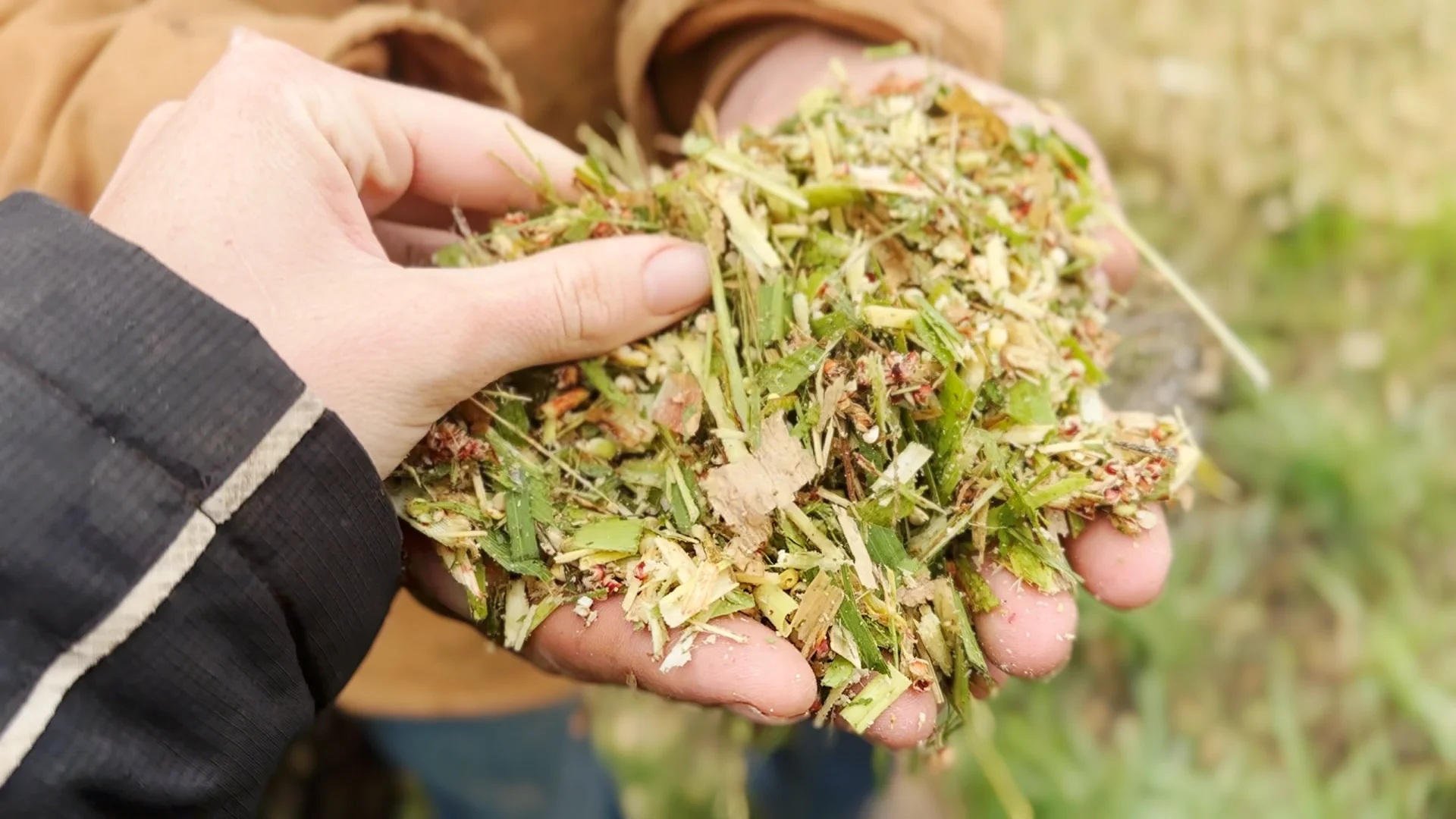 Additional image 19 of "Rivendell" 698 Woodstock Road, Inverell NSW 2360