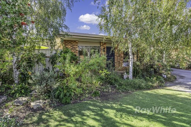 Picture of 6/99-101 Shackell Street, ECHUCA VIC 3564