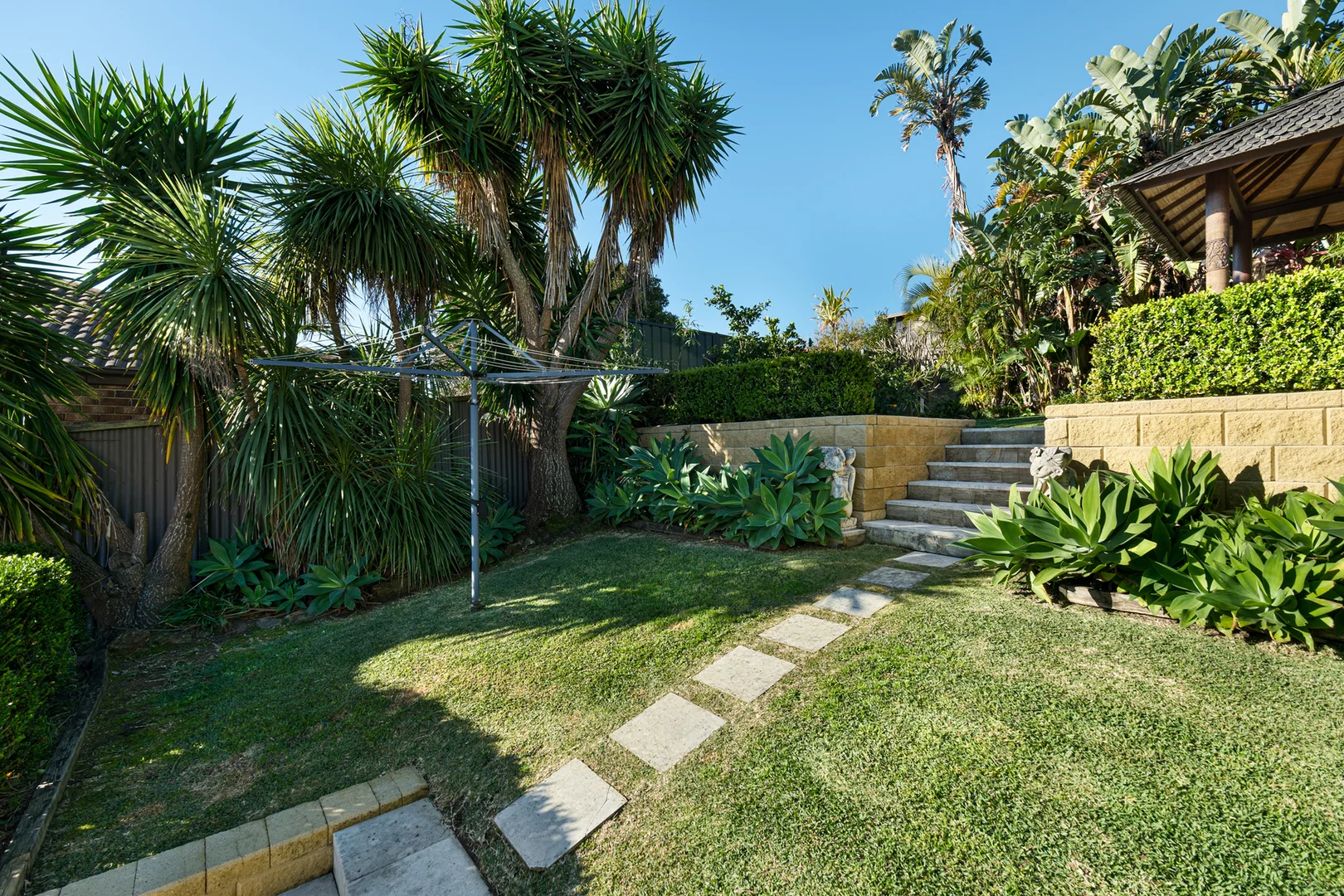 Image 12