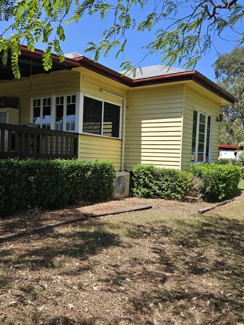 Image 19
