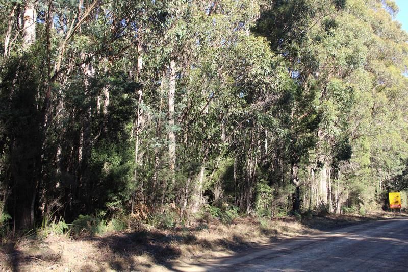 Huon Highway, Strathblane TAS 7109, Image 1