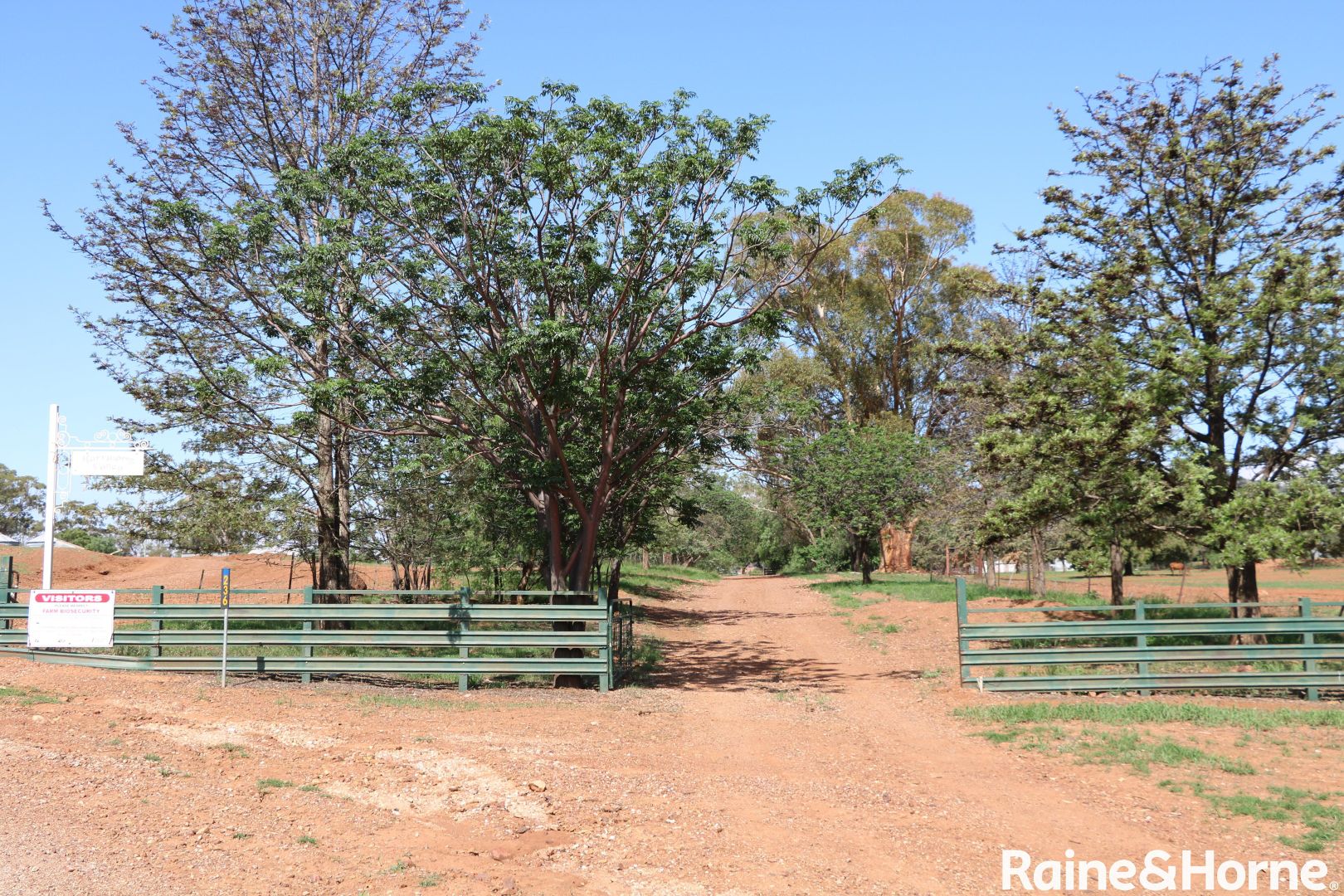 236 Wild Lane, Alectown | Property History & Address Research | Domain
