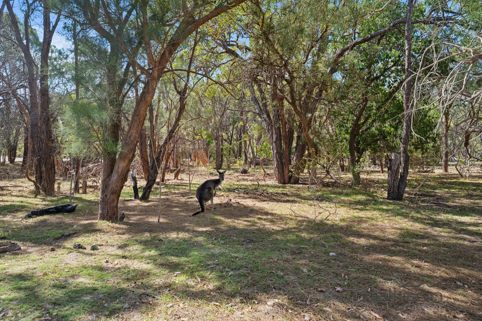 Additional image 23 of 112 Merrit Road, Parklands WA 6180