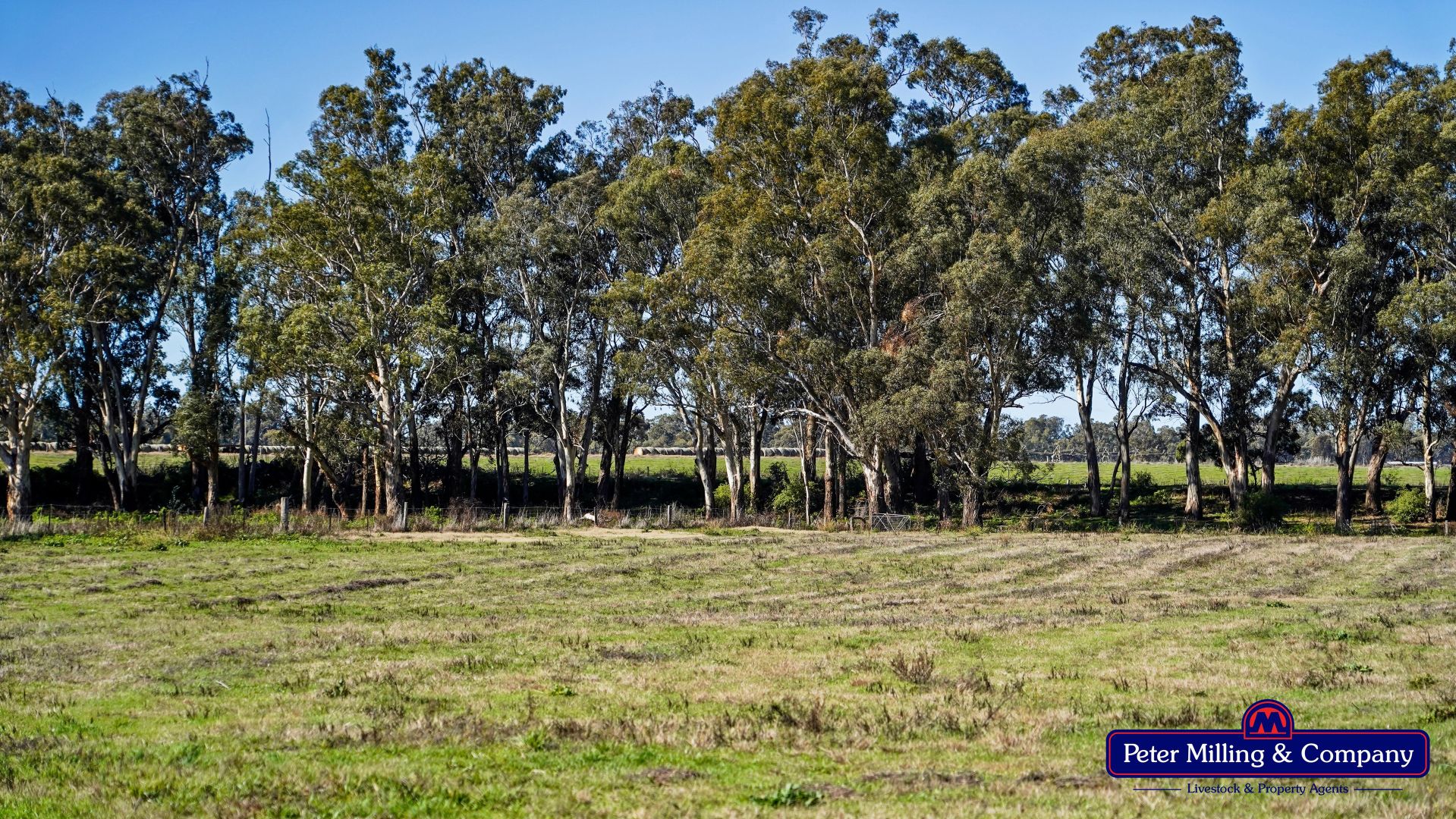 133R Narromine Road, Dubbo NSW 2830, Image 2