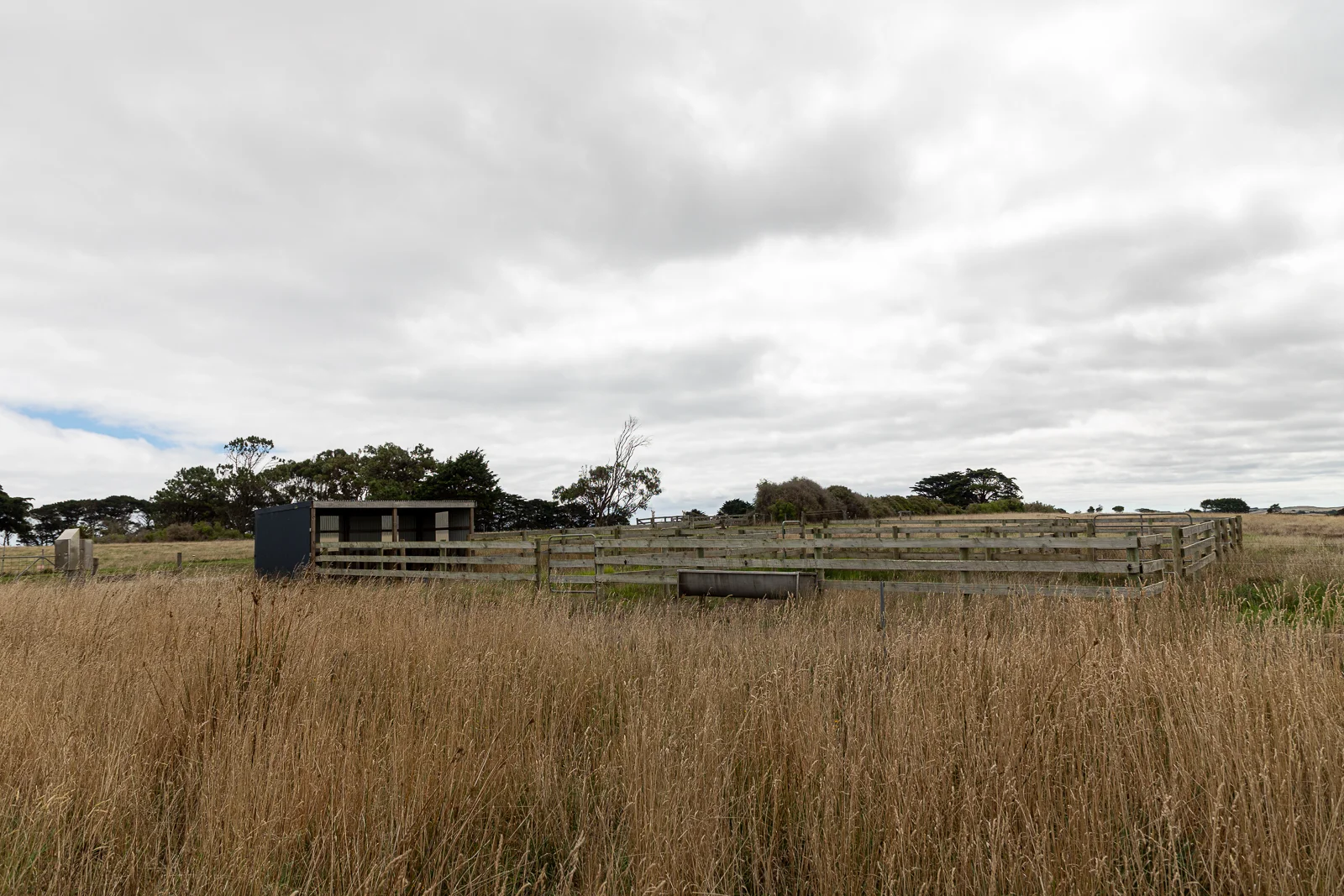 Image 20