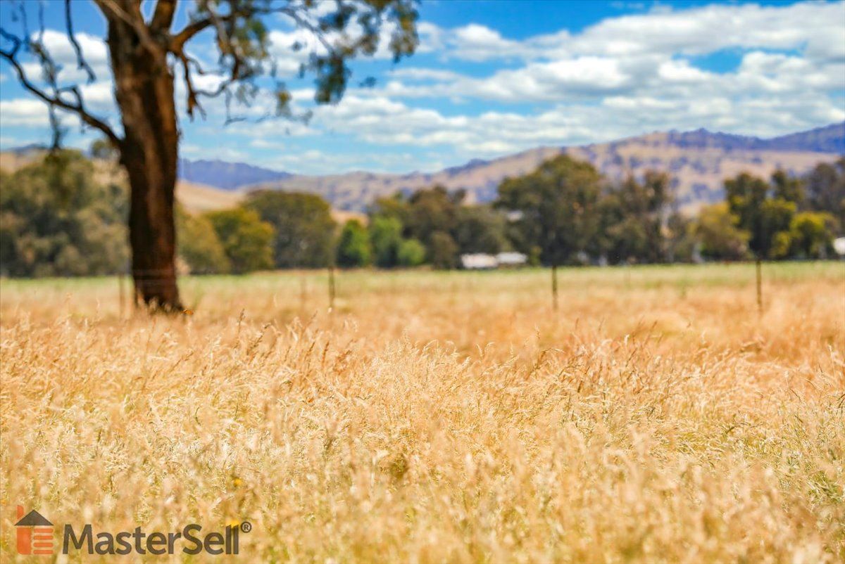 Rural Lifestyle in Lot 279/2204 Nangus Road, NANGUS NSW, 2722