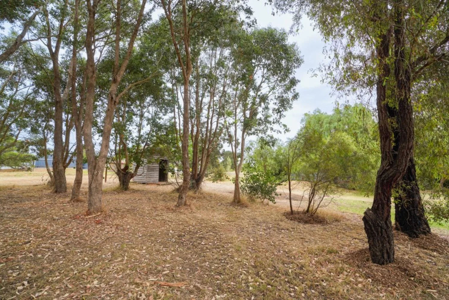 Image 11