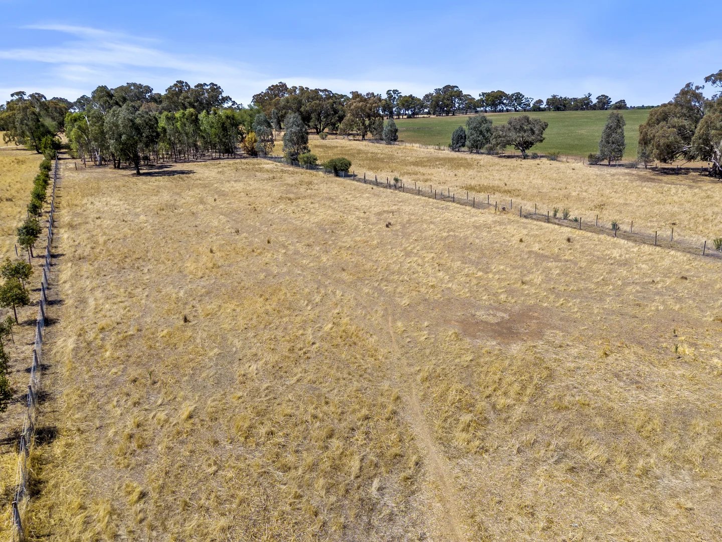 Image 32