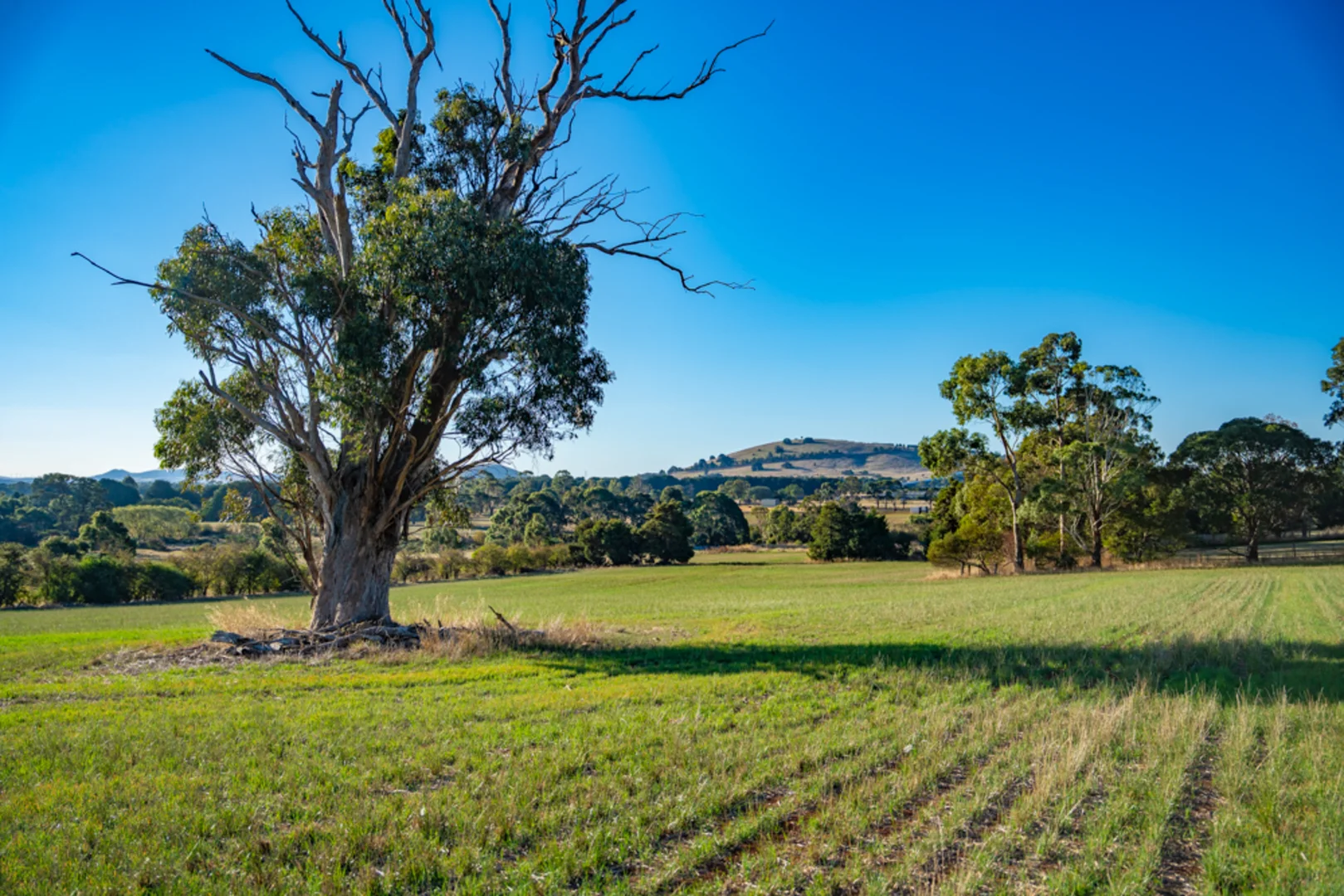 Additional image 18 of 180 Sharpes Road, Miners Rest VIC 3352