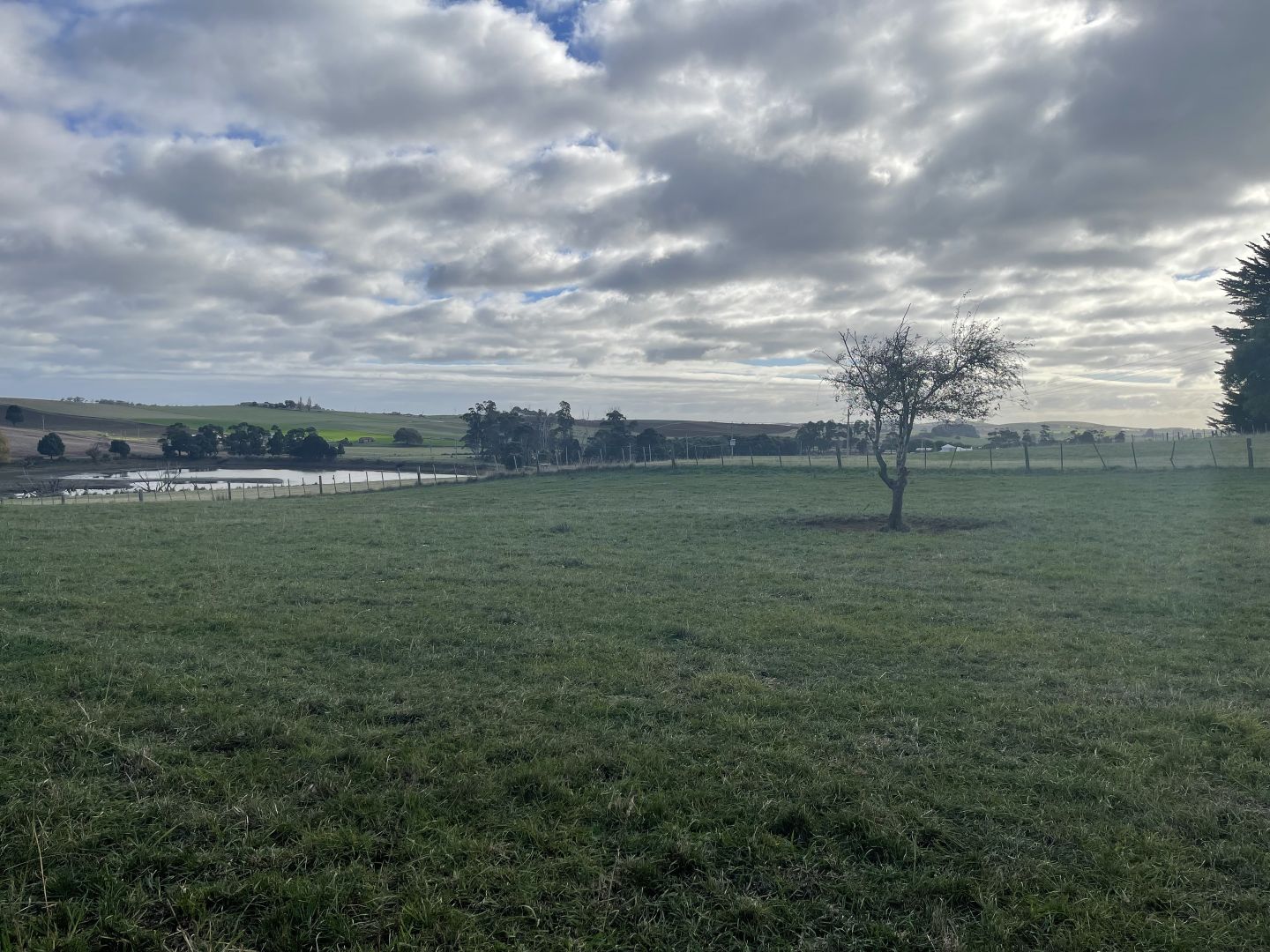 52 Valleyfield Road, Sassafras TAS 7307 House For Rent Domain