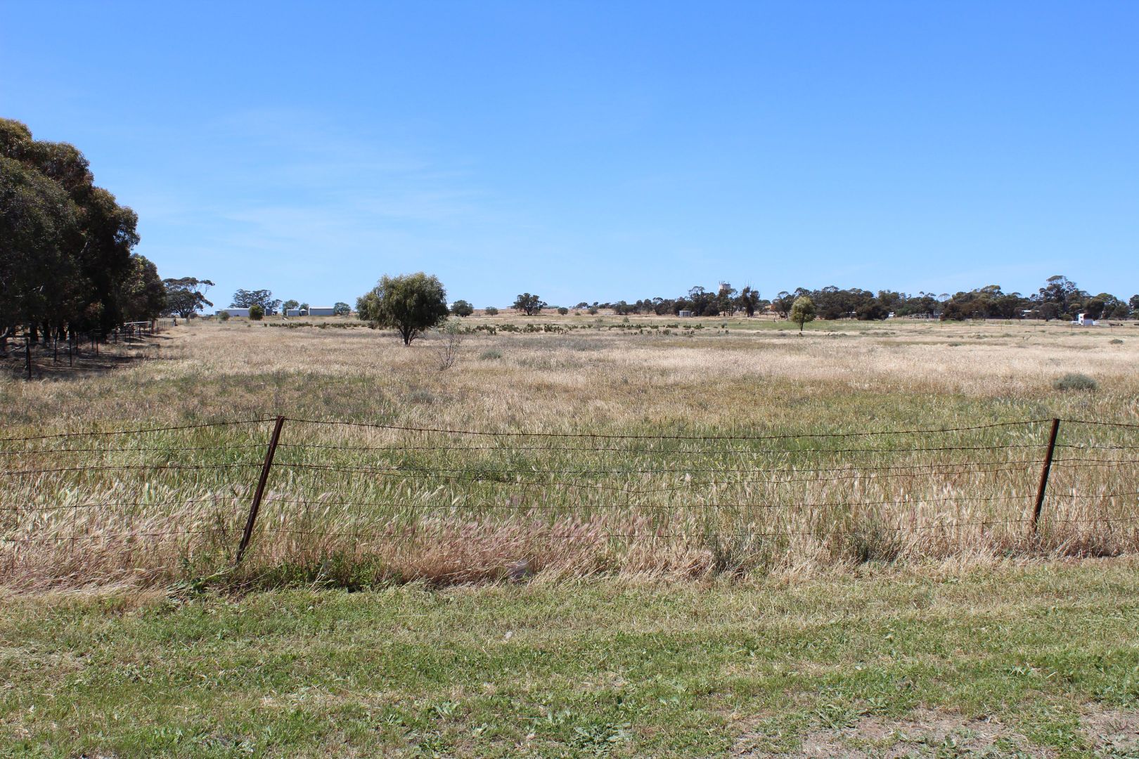 20 Madden Street, Nhill VIC 3418, Image 2