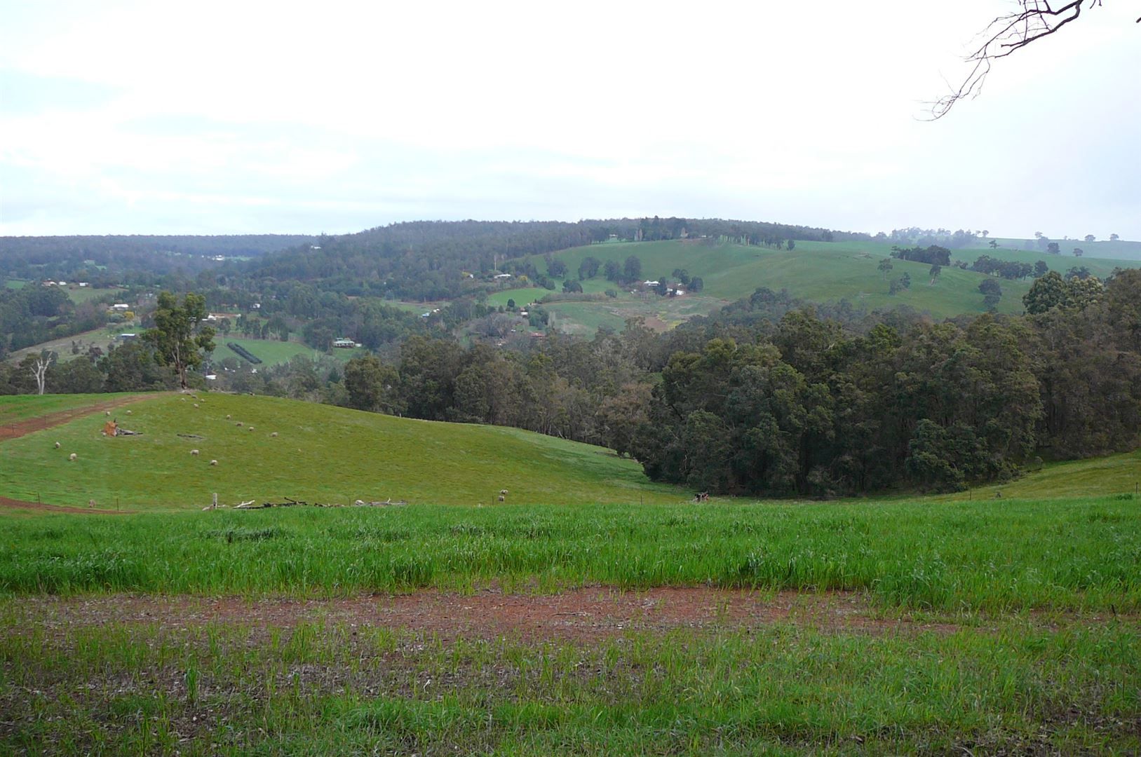 Vacant land in 72 Crawford Street, BRIDGETOWN WA, 6255