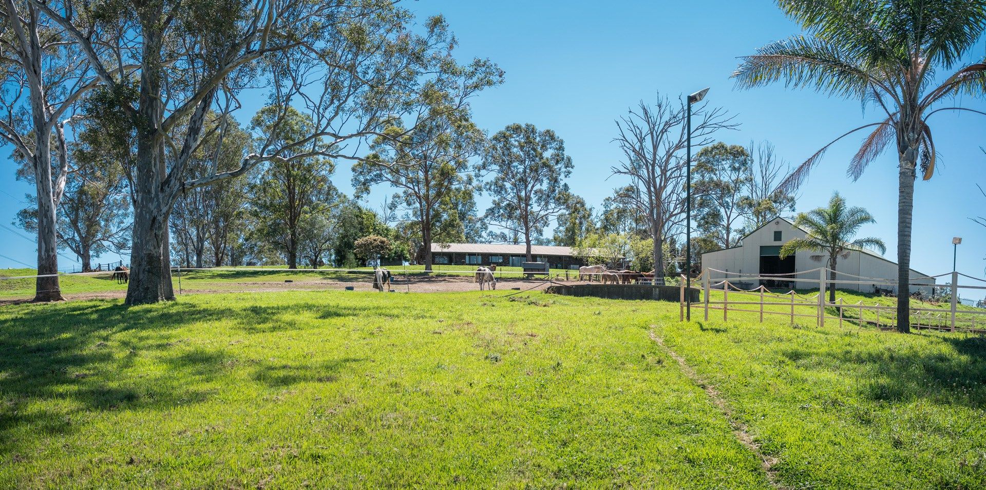 775 Cut Hill Road, Cobbitty NSW 2570, Image 0