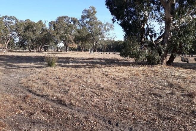 Picture of Lot 101 Dandaragan Road, DANDARAGAN WA 6507