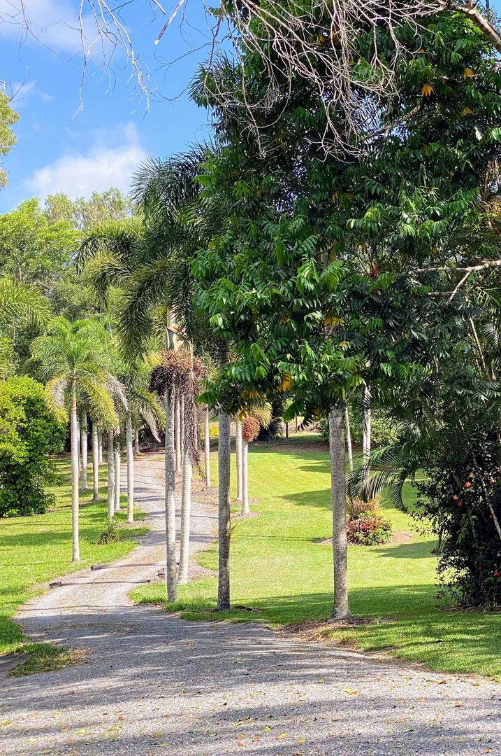 Additional image 11 of 120 Highland Drive, Julatten QLD 4871