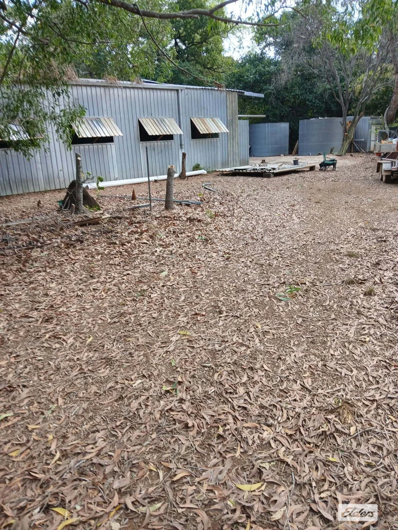 Image 7