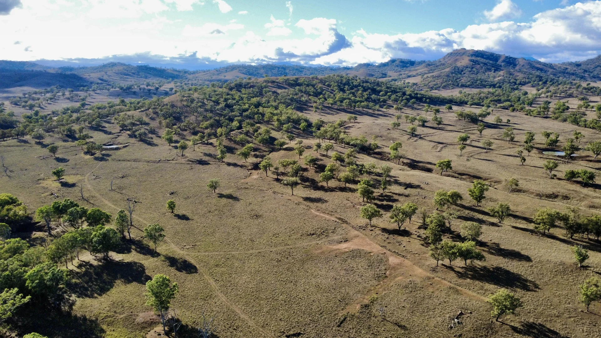 Additional image 14 of "Waverly Paddock" Waverley Road Waverly (Via), Scone NSW 2337