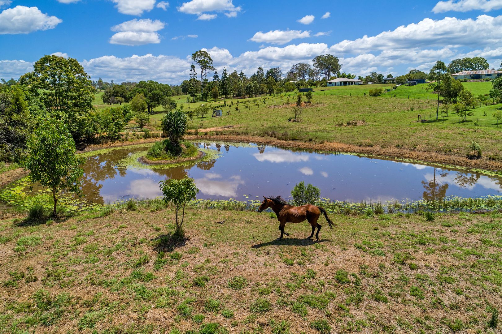 30 Bickle Road, Veteran QLD 4570, Image 1