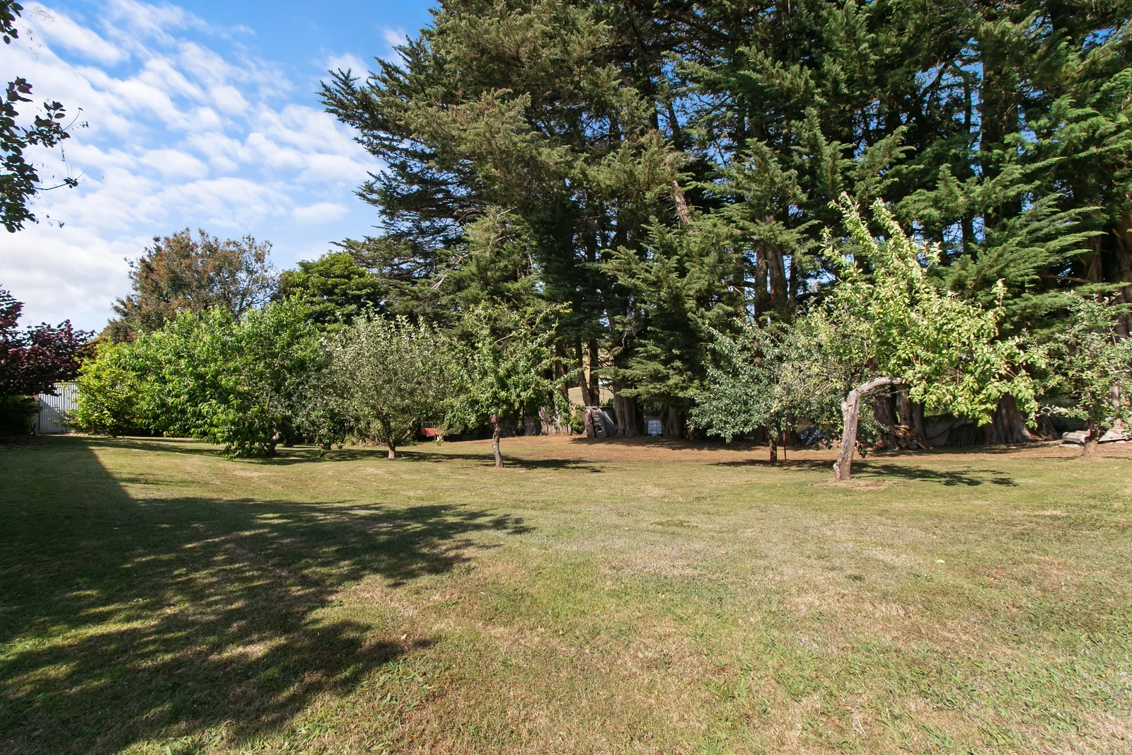 Image 25