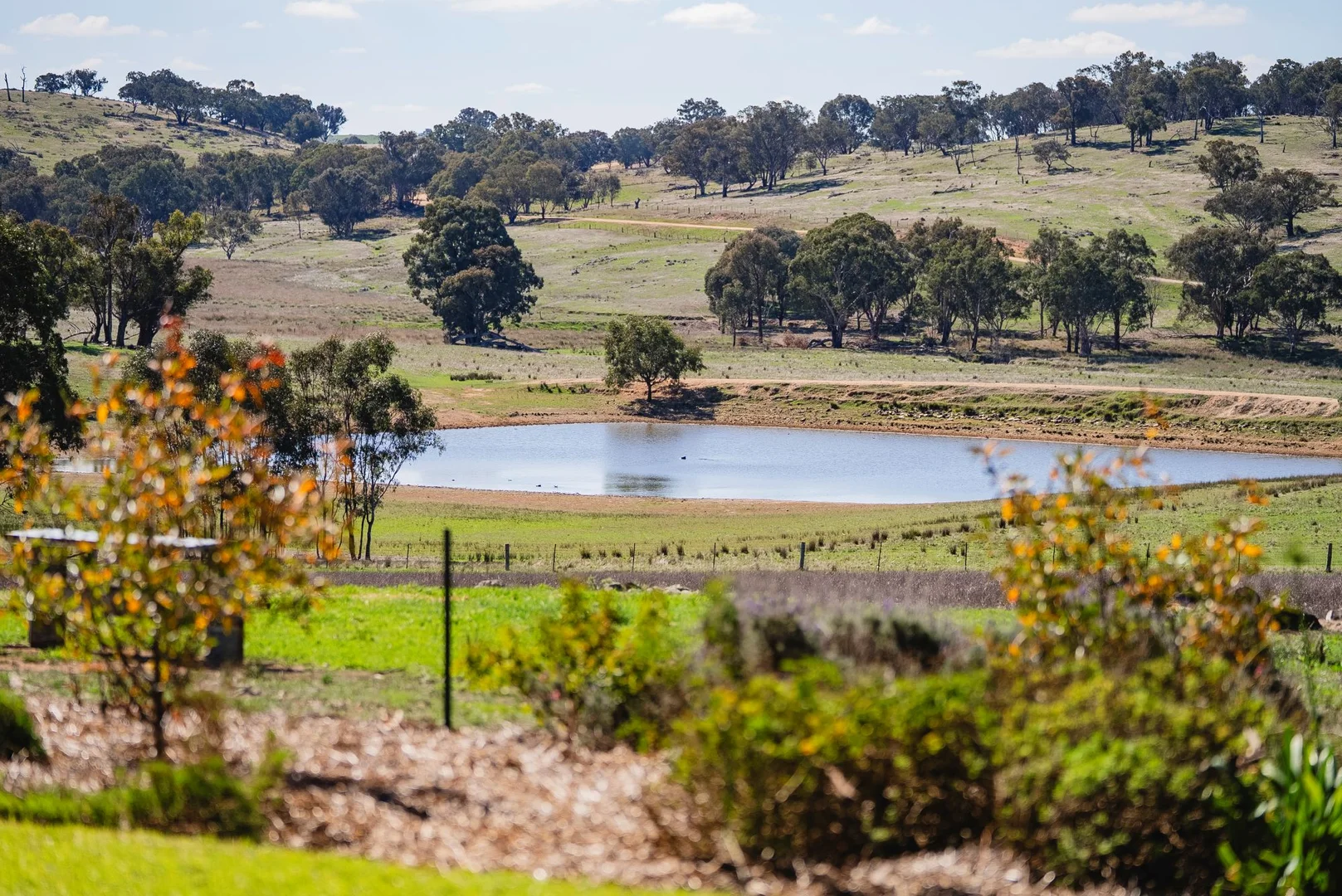 Image 22
