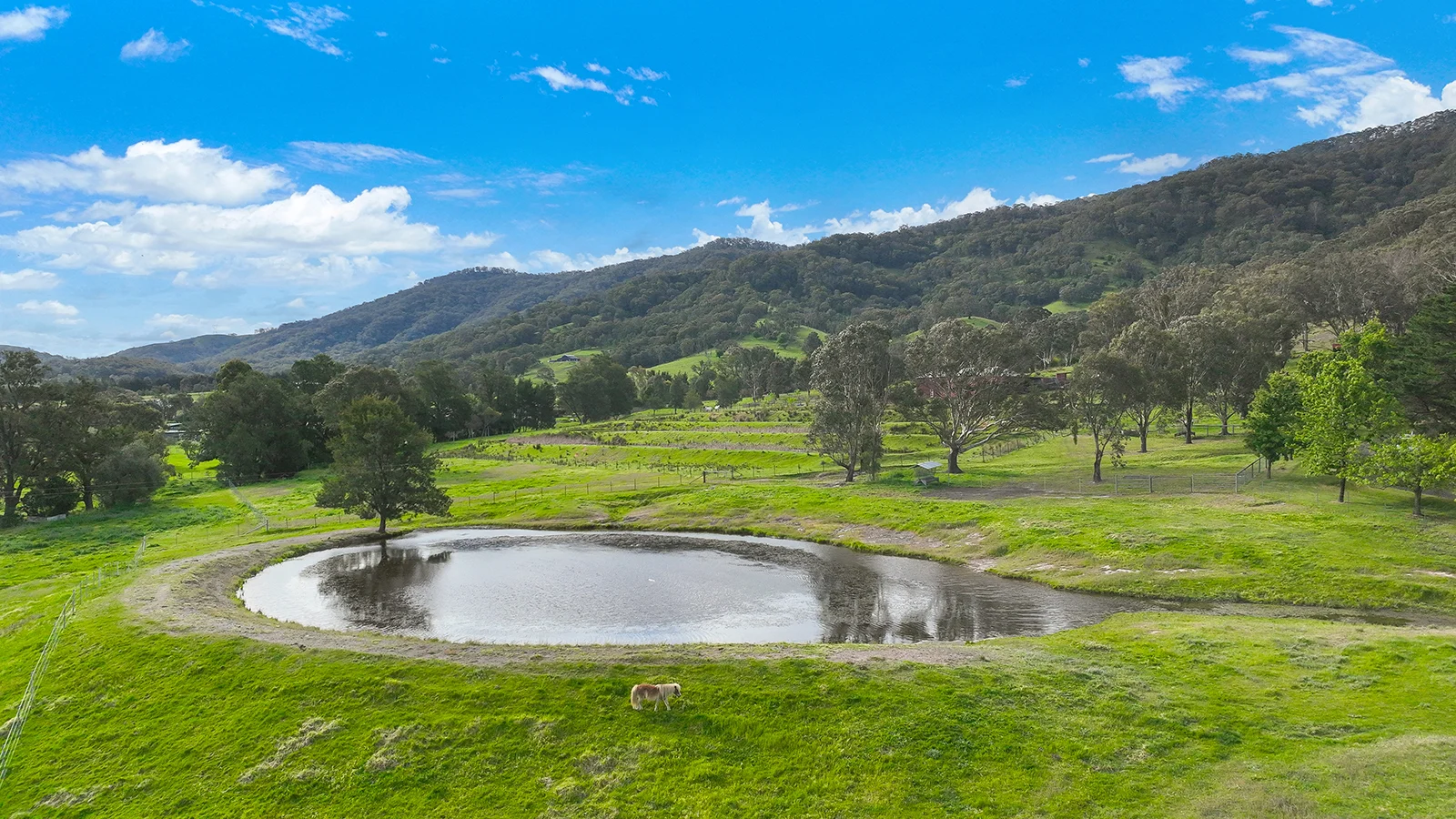 Additional image 28 of 80 Doughboy Street, Murrurundi NSW 2338