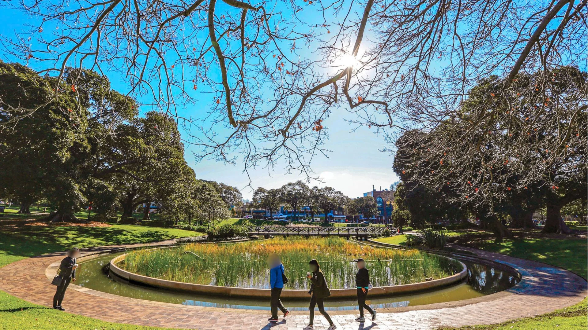 Additional image 8 of 58 City Road, Chippendale NSW 2008