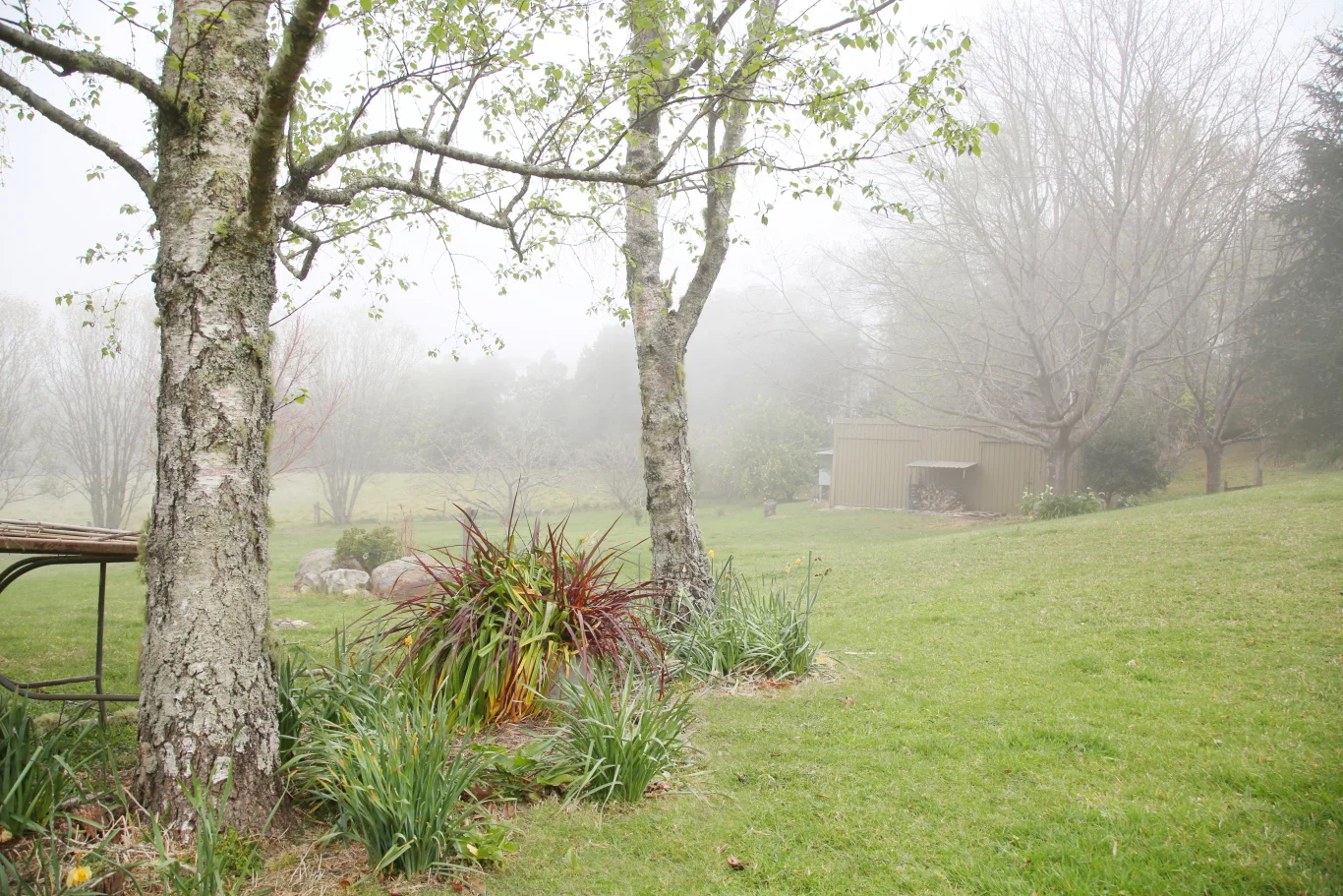 Image 24