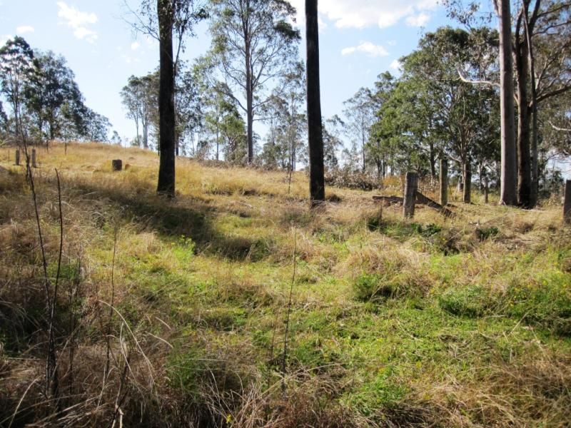 Lot 4 Carey Street, Bonalbo NSW 2469, Image 1