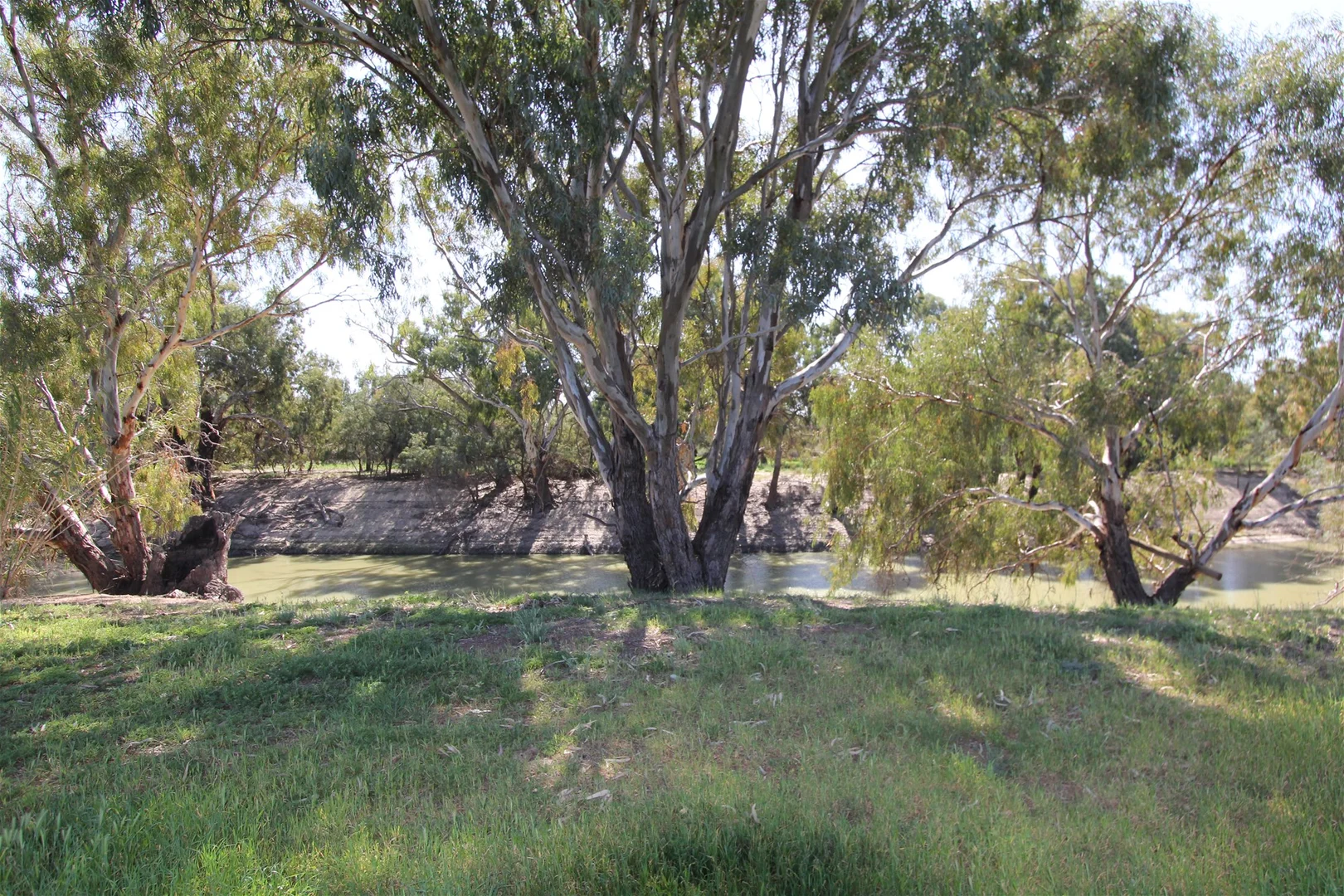 Image 14